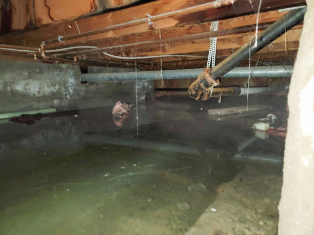 Water damage restoration experts in Elsa, TX