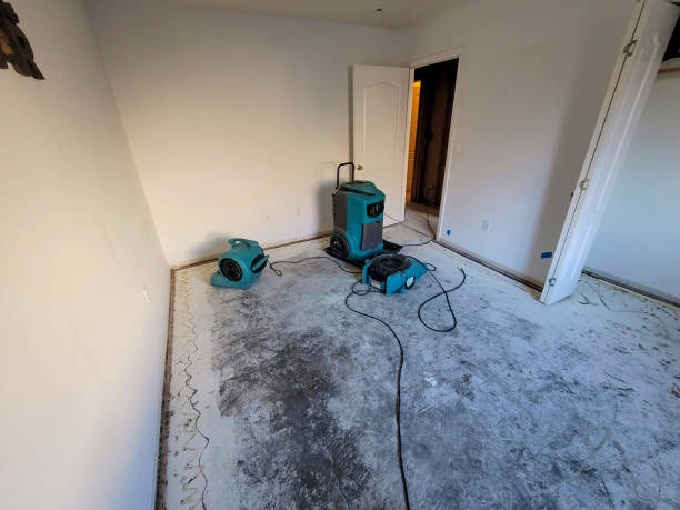 Best Ceiling water damage repair  in Elsa, TX