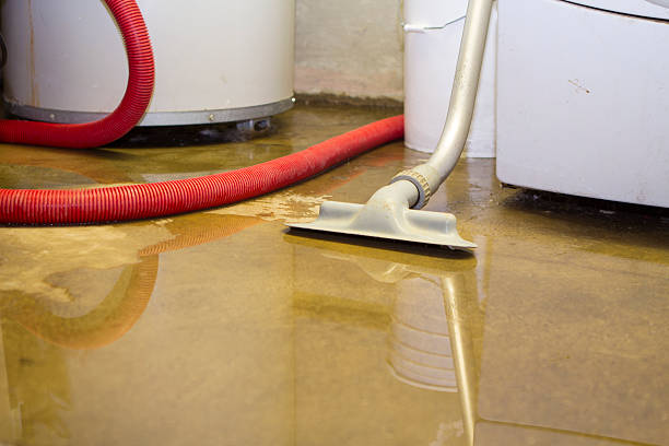 Best Water damage restoration cost  in Elsa, TX