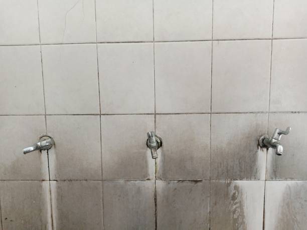 Best Flood damage cleanup  in Elsa, TX