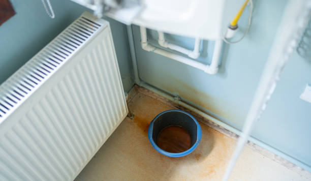 Best Fire Damage Restoration  in Elsa, TX
