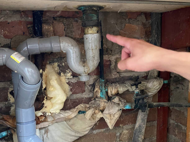 Best Water damage restoration company  in Elsa, TX