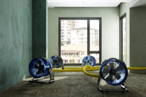 Best Commercial water damage restoration  in Elsa, TX