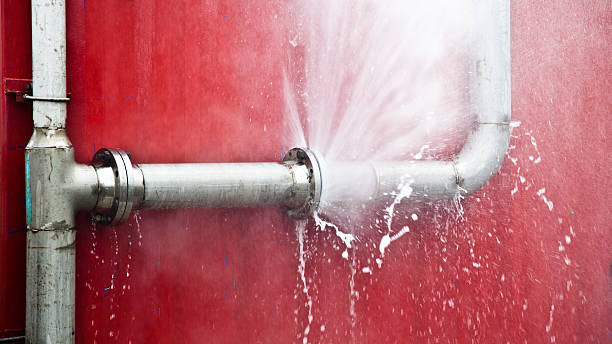 Best Sewage cleanup and water damage restoration  in Elsa, TX
